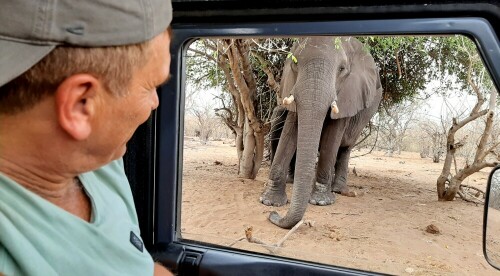 Aufnahme bei der Tierbeobachtung in Botswana

Aufnameort: Moremi - Botswana
Kamera: Canon1300 D