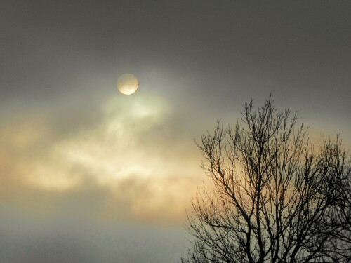 Ganz leicht sieht man die Sonne im dichten Nebel

Aufnameort: Donaustetten
Kamera: Panasonic Lumix TZ 71