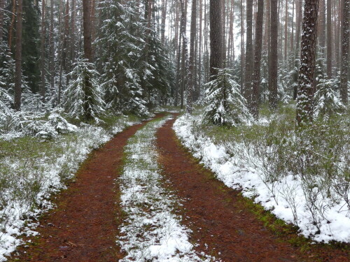 

Aufnameort: Wald bei Arberg
Kamera: Panasonic Lumix FZ 330