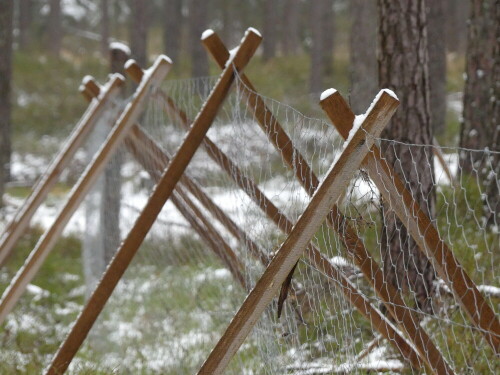 

Aufnameort: Wald bei Arberg
Kamera: Panasonic Lumix FZ 330