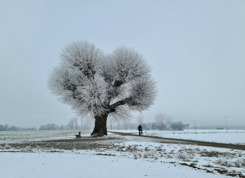 ideales-radelwetter-25940.jpeg