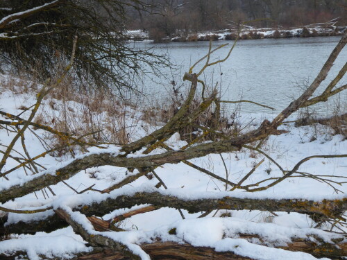 Lichternsee im Winter

Aufnameort: Ulm-Donautal
Kamera: Panasonic Lumix TZ 71