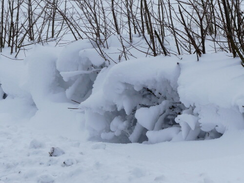 schneewehenhohle-mit-herz-26008.jpeg