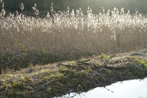 flehbach-fuhrt-hochwasser-26028.jpeg