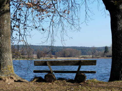 

Aufnameort: Eichenberger Weiher
Kamera: Panasonic Lumix FZ 330