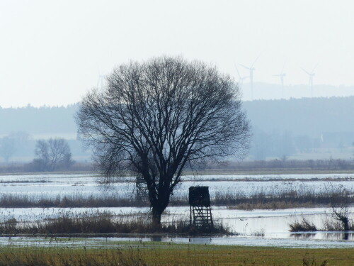 

Aufnameort: Hirschlach
Kamera: Panasonic Lumix FZ 330