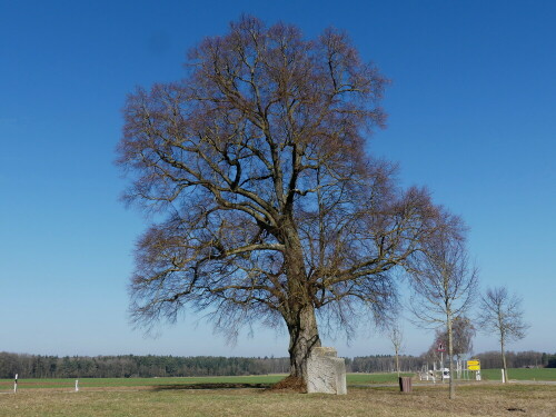 

Aufnameort: Neuses
Kamera: Panasonic Lumix FZ 330