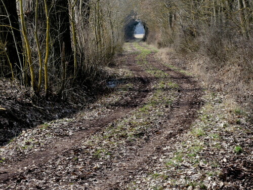 licht-am-ende-des-tunnels-26203.jpeg