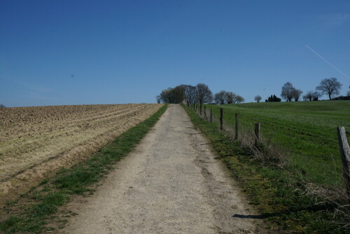 Der Obstweg in Leichlingen bietet einen schönen Ausblick auf eine alte Kulturlandschaft, die aus Streuobstwiesen besteht.

Aufnameort: Leichlingen
Kamera: Sony Alpha 7/II