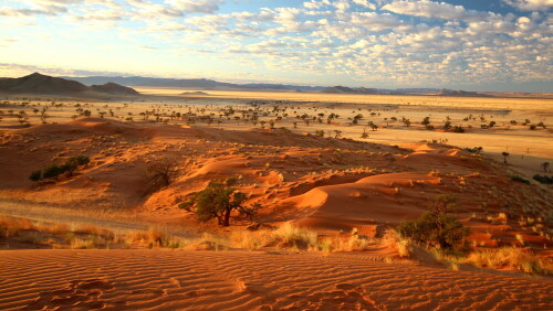 Aufnahme beim Spaziergang in Namib Rand

Aufnameort: Namib Rand bei Family Hideout  -  Namibia
Kamera: Canon1300 D