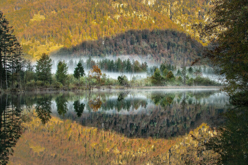 Spiegelung im Almsee

Aufnameort: Almsee
Kamera: Nikon D 800