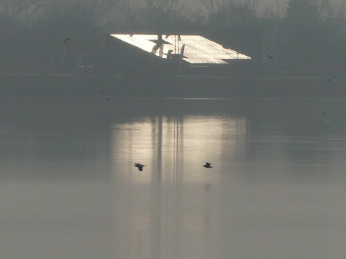 

Aufnameort: Altmühlsee
