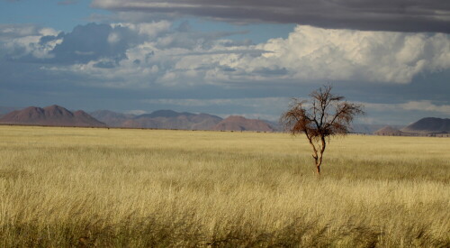 Aufnahme von  der Veranda beim Genießen der landshaft

Aufnameort: Namib Rand bei Family Hideout  -  Namibia
Kamera: Canon1300 D