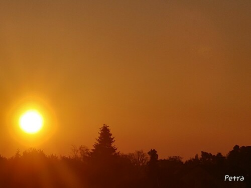 Wunderschöner Sonnenaufgang über Lichtenau. Ein richtig roter Feuerball und die Amsel singt ihr Lied und begrüsst den Morgen. Leider steht das Bild auf dem Kopf. Warum?

Aufnameort: Lichtenau / Mfr.
Kamera: LG G8S Thinq (Smartphone)