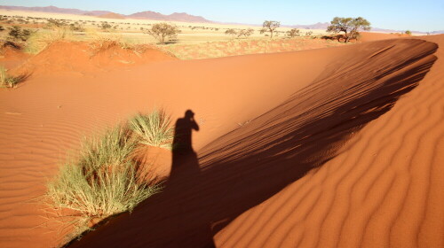 Aufnahme beim Spaziergang in den Dünen

Aufnameort: Namib Rand bei Family Hideout  -  Namibia
Kamera: Canon1300 D