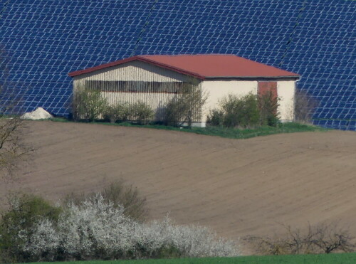 

Aufnameort: Stetten bei Gunzenhausen
Kamera: Panasonic Lumix FZ 330