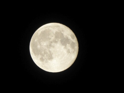 Ohne Wolken konnte man den "Supermond" beobachten!
Hier um 2.45 h - 28.4.2021

Aufnameort: Wiblingen
Kamera: Panasonic Lumix TZ 71