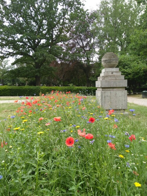 Im Mülheimer Stadtpark habe ich mit Zustimmung des Grünflächenamtes eine kleine Wildblumenwiese angelegt. Und was soll ich sagen: es lohnt sich! Auf der Wiese summt und brummt es.

Aufnameort: Mülheimer Stadtpark
Kamera: Fairphone 2