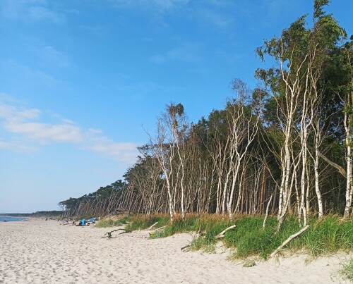 Traumstrand in der Natur

Aufnameort: Fischland Darß
Kamera: Handy