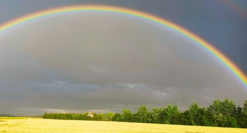 Regenbogen

Aufnameort: Rövershagen, Ostsee
Kamera: Handy