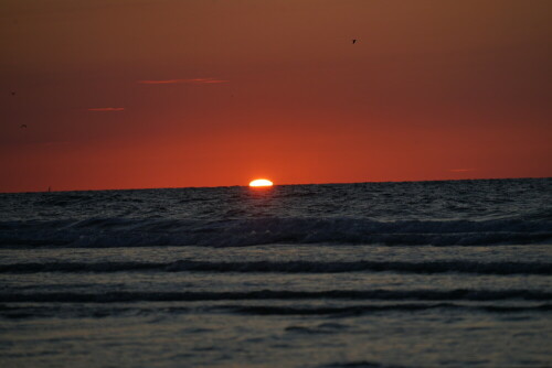 Ich habe nirgends so schöne Sonnenuntergänge gesehen, wie auf Juist. Hier versinkt die Sonne gerade in der Nordsee.

Aufnameort: Juister Strand
Kamera: Sony Alpha 7/II