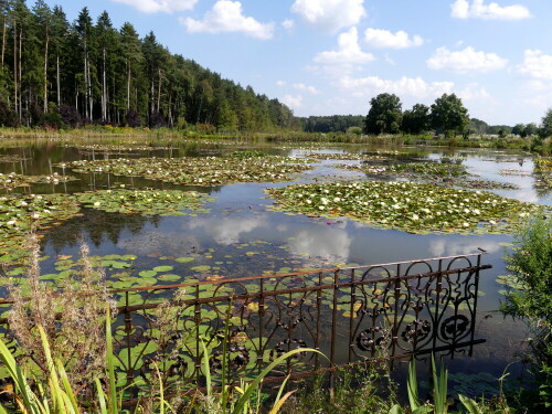 

Aufnameort: Seerosenteich bei Brunn
Kamera: Samsung Galaxy S20