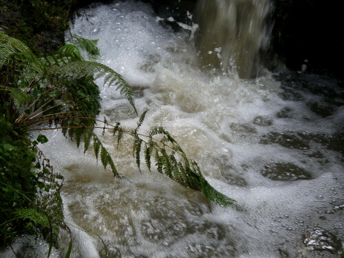 am-kleinen-wasserfall-27306.jpeg