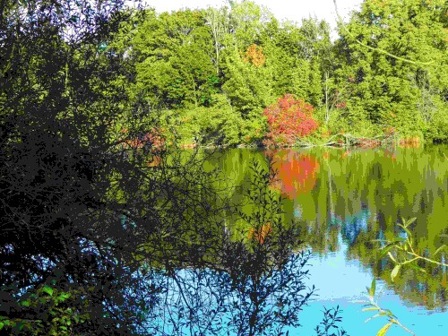 ....und der Herbst beginnt...........

Aufnameort: Lichternsee - Donautal
Kamera: Panasonic Lumix TZ 71