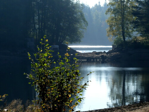 

Aufnameort: Fichtelsee
Kamera: Panasonic Lumix FZ 330