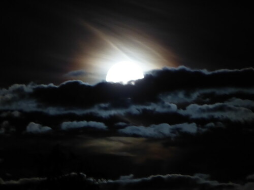 Mond kommt hinter Wolken vor.

Aufnameort: Breisach
Kamera: Lumix DMC-TZ71