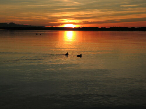 Die Sonne geht unter am Chiemsee, Herbst 2021

Aufnameort: Seebruck
Kamera: Nikon Coolpix