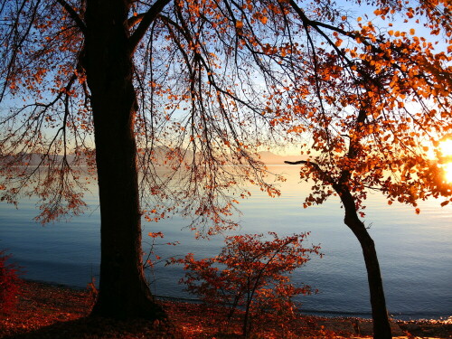 chiemsee-sonnenuntergang-im-herbst-27509.jpeg