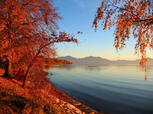 herbst-am-chiemsee-27508.jpeg