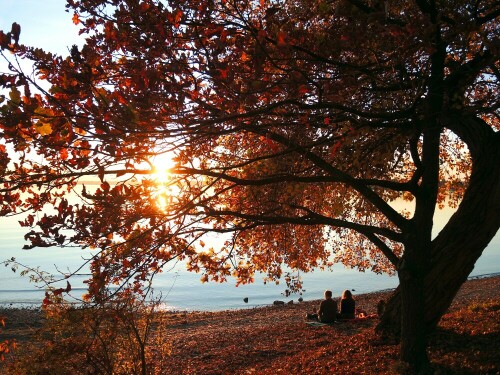 Warten auf den Sonnenuntergang im Herbst am Chiemsee

Aufnameort: Seebruck
Kamera: Nikon Coolpix