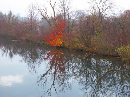 Herbst am Lichternsee

Aufnameort: Donautal
Kamera: Panasonic Lumix TZ 71