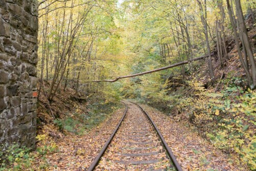 

Aufnameort: Limbach-Oberfrohna OT Wolkenburg
Kamera: Sony RX100 III