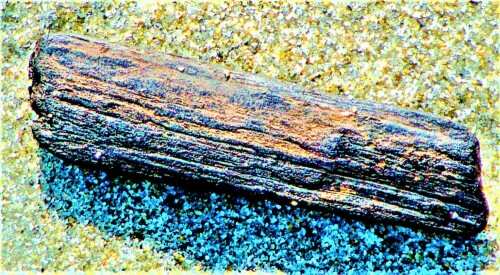 Auch Treibholz kann sich im Strandgut ansammeln zumal Holz ja meist in Wasser schwimmen kann.
https://de.wikipedia.org/wiki/Strandgut

Aufnameort: Renesse(Holland) Strand im Nordosten
Kamera: Medion Camcorder