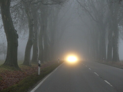 

Aufnameort: Platanenallee Triesdorf
Kamera: Panasonic Lumix FZ 330