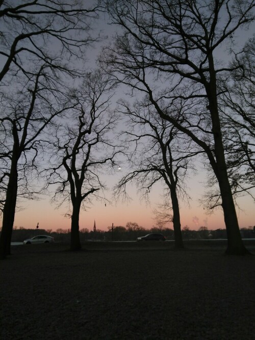 Der morgendliche Winter ist dunkel, aber das Licht, das er bietet, ist herrlich. Wer genau hinsieht, kann im Hintergrund den Mond erkennen.

Aufnameort: Merheimer Heide
Kamera: Fairphone 2