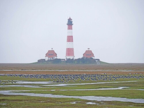 

Aufnameort: d westerhever
