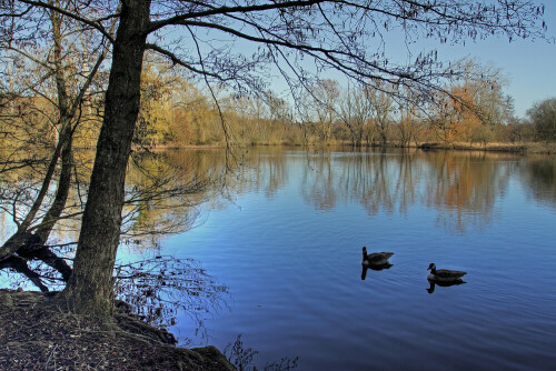 monchbruchweiher-28055.jpeg