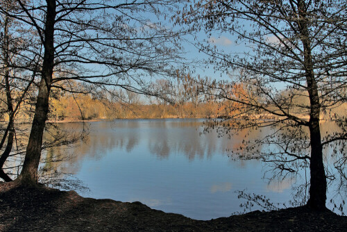 NSG Mönchbruch

Aufnameort: Rheinebene
Kamera: Canon EOS 7D