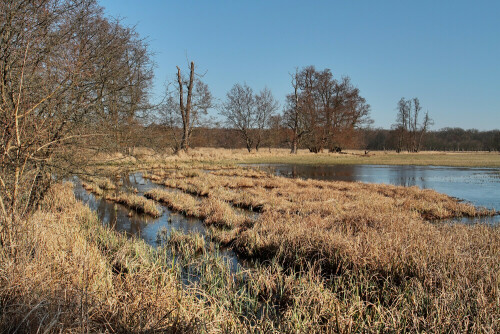 Naturschutzgebiet

Aufnameort: Rheinebene
Kamera: Canon EOS 7D