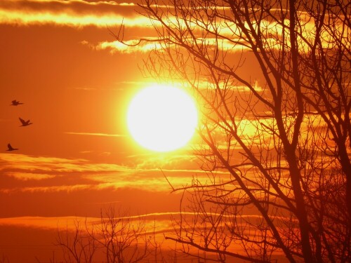 sonnenuntergang-28066.jpeg