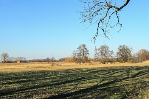 Naturschutzgebiet

Aufnameort: Odenwald
Kamera: Canon EOS 7D