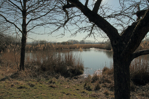 NSG

Aufnameort: Odenwald
Kamera: Canon EOS 7D