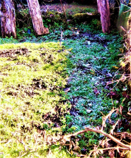 Die Auftaugrenze des Bodens bei Bodenfrost kann je nach Sonnenstand im Boden entlang wandern.
https://de.wikipedia.org/wiki/Bodenfrost
(Rechts der Bodenfrost; links die aufgetaute Bodenoberfläche)

Aufnameort: Eiershausen Garten
Kamera: Medion Camcorder