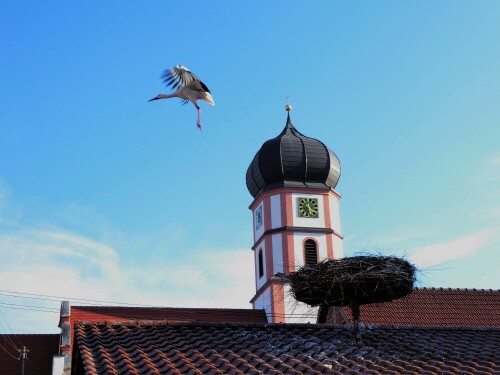 Storch beim Abflug

Aufnameort: Ersingen
Kamera: Panasonic Lumix TZ 71