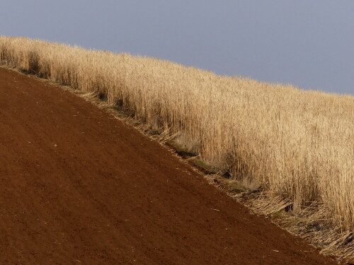 

Aufnameort: Alesheim
Kamera: Panasonic Lumix FZ 330