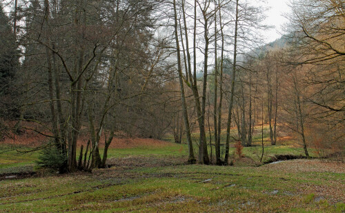 Eiterbachtal

Aufnameort: Odenwald
Kamera: Canon EOS 60D